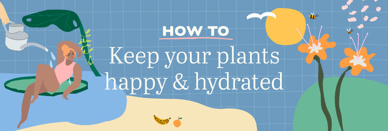 How to: Keep Your Plants Happy & Hydrated