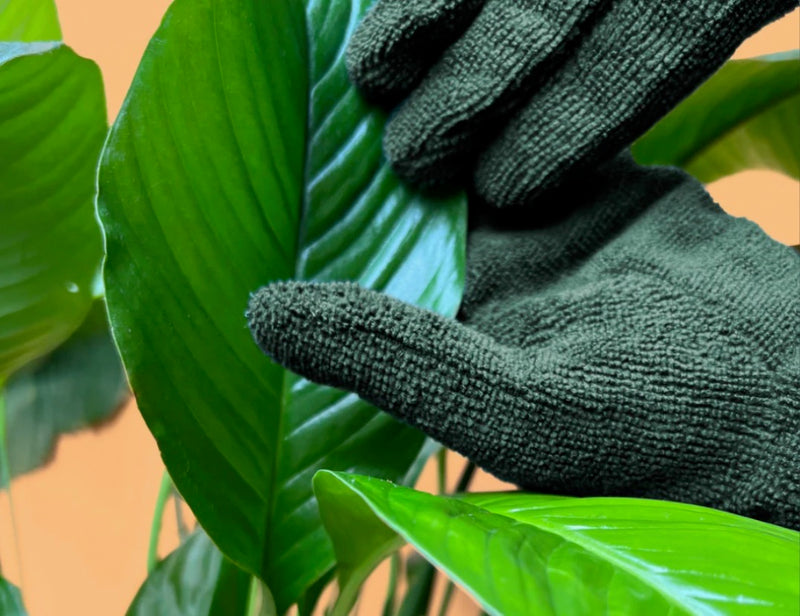 We The Wild - Leaf Cleaning Gloves