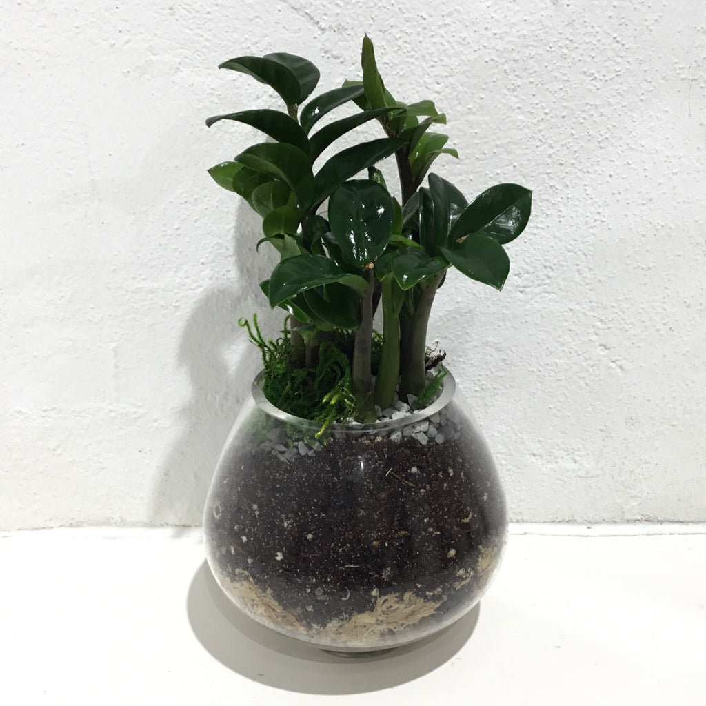 Terrarium ‘Surroundings’