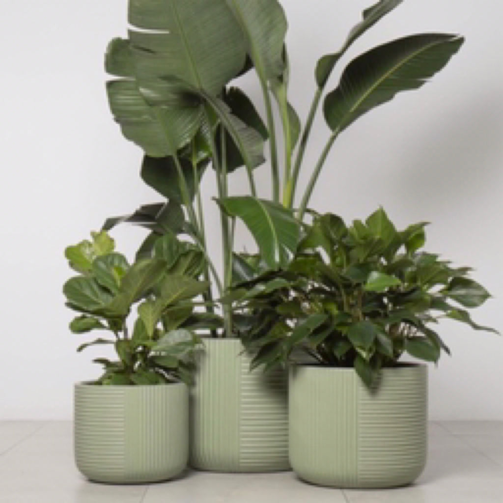 Gothenburg Lined Cylinder Pot - Matte Olive
