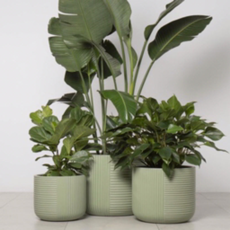 Gothenburg Lined Cylinder Pot - Matte Olive