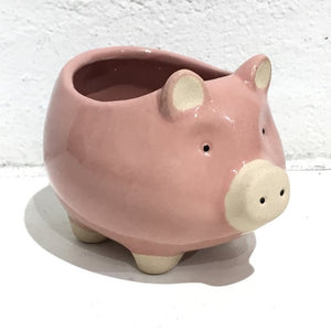 Pig planter