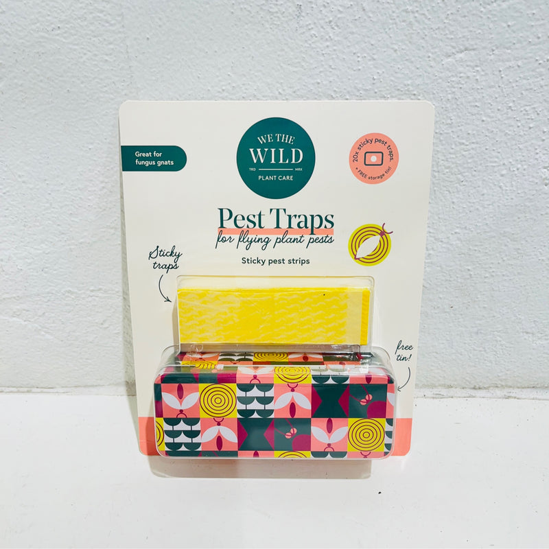 We The Wild - Gnat Trap - Compostable