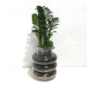 Terrarium ‘Loop de Loop’