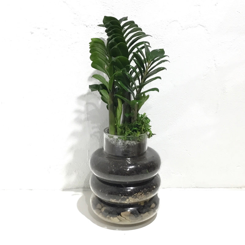 Terrarium ‘Loop de Loop’