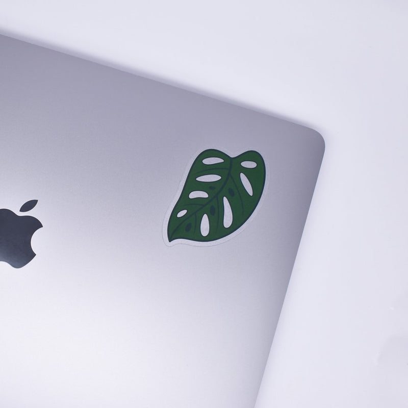 Plant Scouts Sticker - Monstera adansonii
