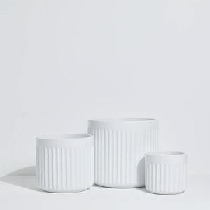 On The Side - EMPIRE - WHITE / Lightweight Pots