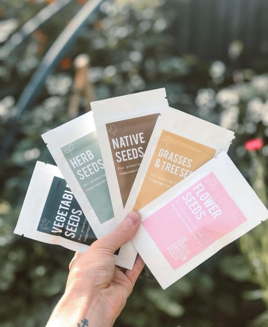 Grasses & Tree Seeds - Cat Grass & Catnip (twin pack)