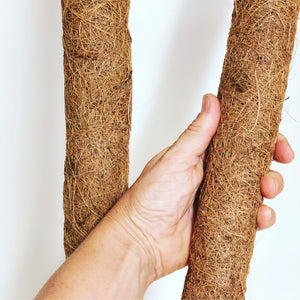 Takasho- Coco Plant Pole / Asstd sizes