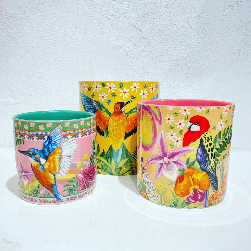 Tropicana Australiana Pot