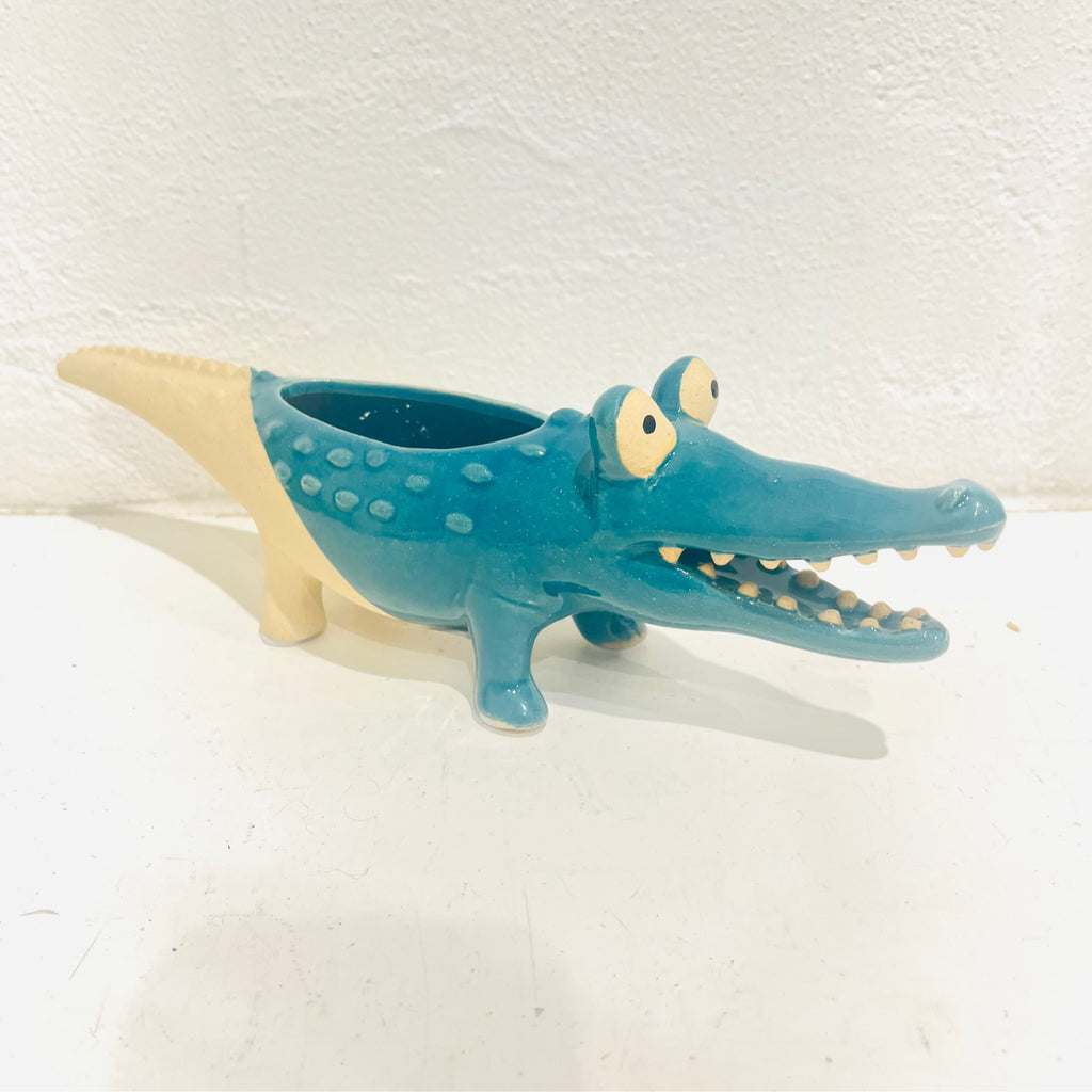 Quirky Croc Planter
