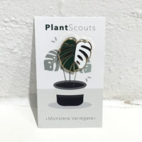 Plant Scouts Pin - Monstera Leaf