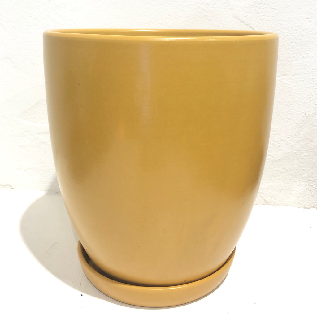 Tapered Pot with saucer - TURMERIC