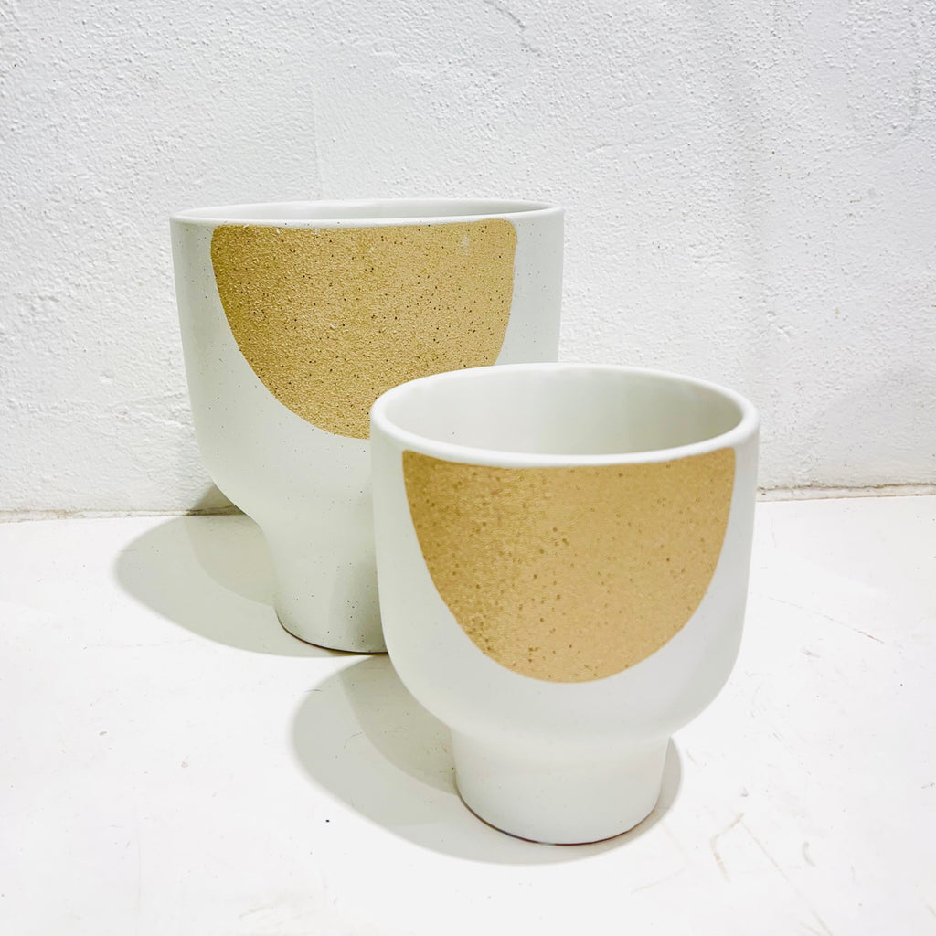 Ash Planter Pot
