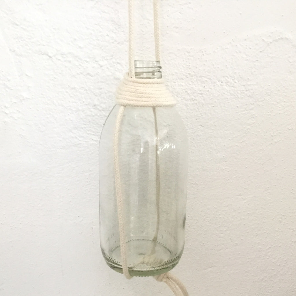 Elk & Horn - Macrame Propagation Bottle - WHITE