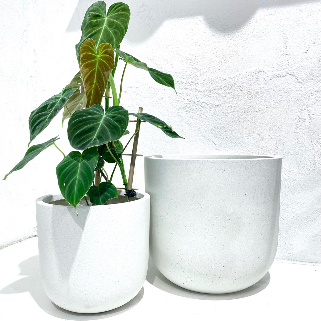 Atlas egg pot - White