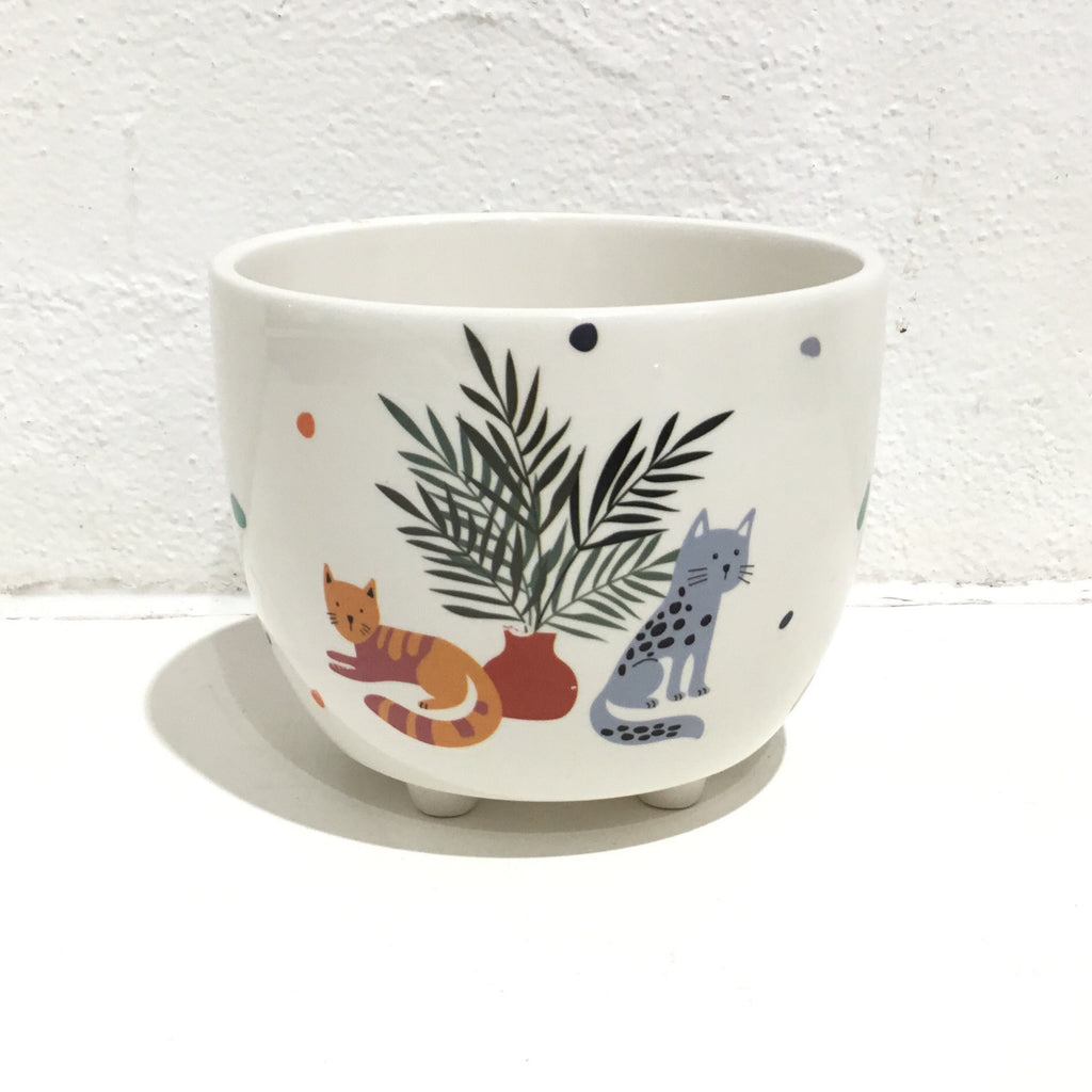 Quirky Cats Planter