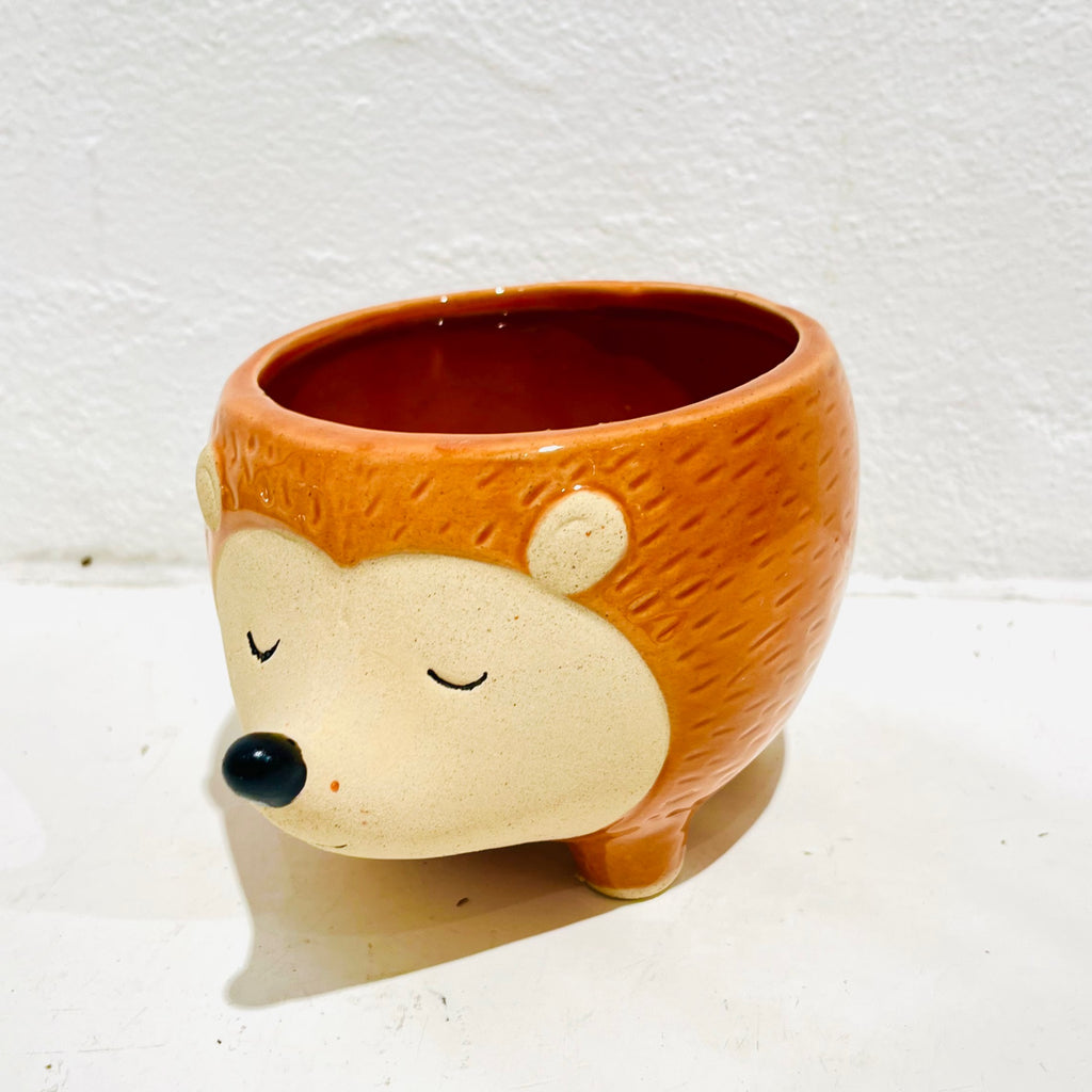 Hedgehog Planter