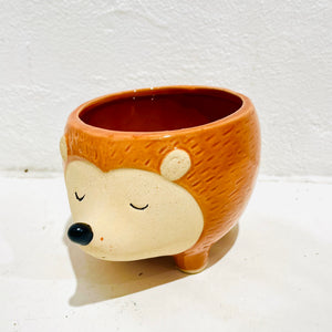Hedgehog Planter