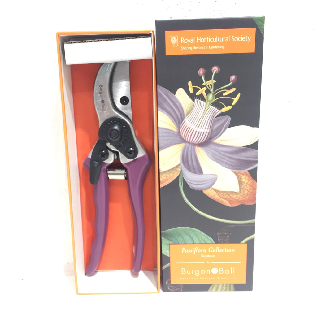 Burgon & Ball - Passiflora Secateurs
