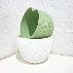 Jones & Co - Jackfruit Planter