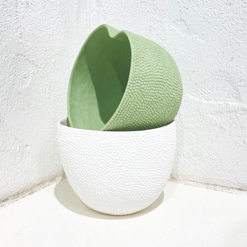 Jones & Co - Jackfruit Planter
