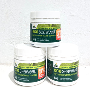 Eco Seaweed
