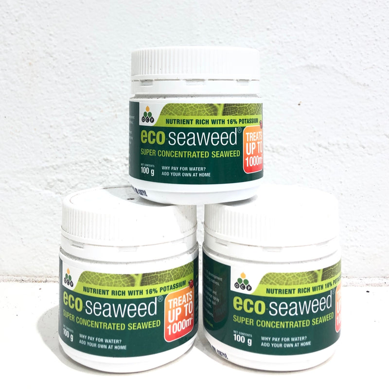 Eco Seaweed
