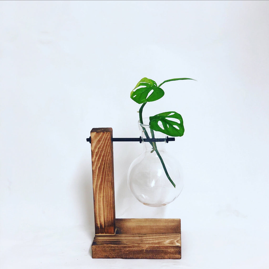 Propagation Station - Glass Beaker On Timber Stand