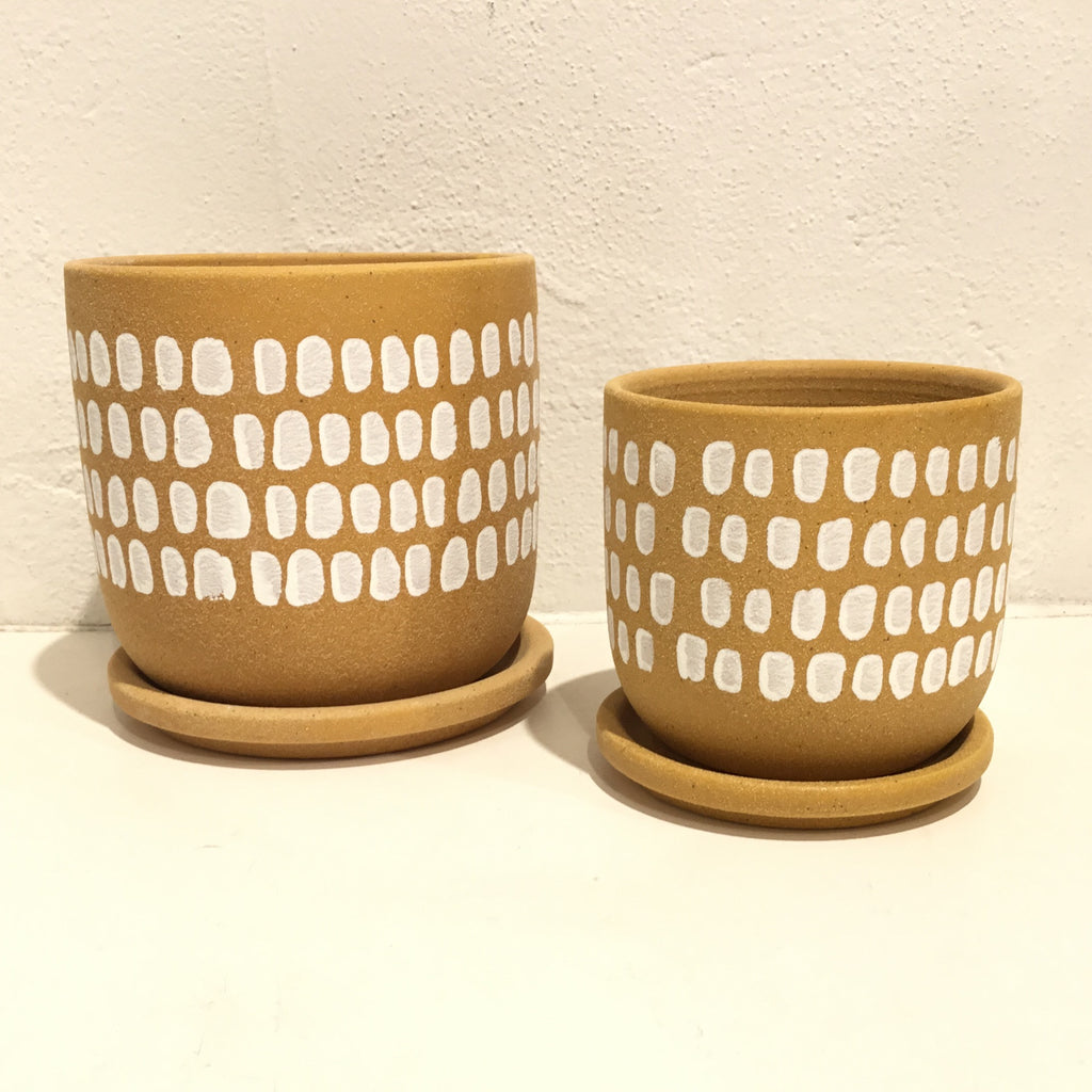 Tessa Dot Planter - w/saucer