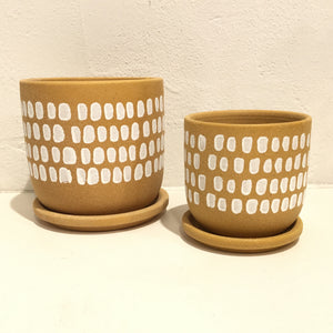 Tessa Dot Planter - w/saucer