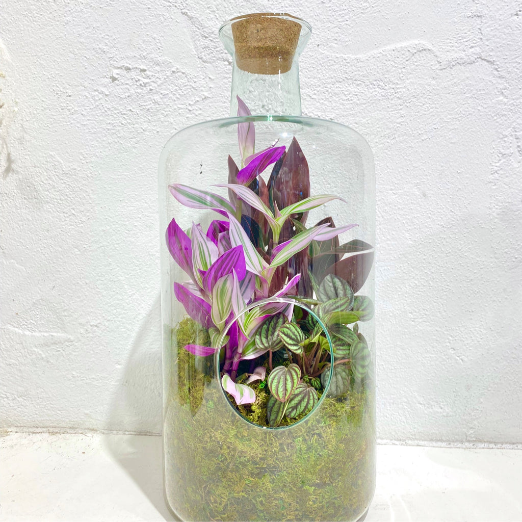 Glass Terrarium with cork lid