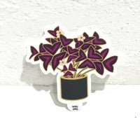Plant Scouts Sticker - Oxalis