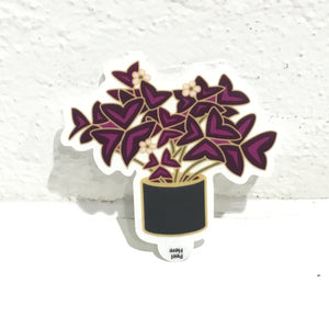 Plant Scouts Sticker - Oxalis