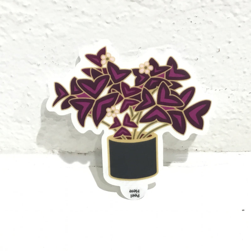 Plant Scouts Sticker - Oxalis