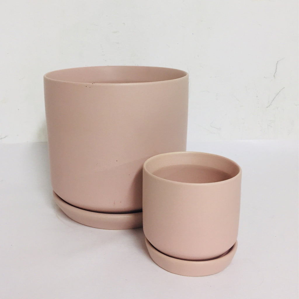 Cylinder Planter w/ saucer - Blush