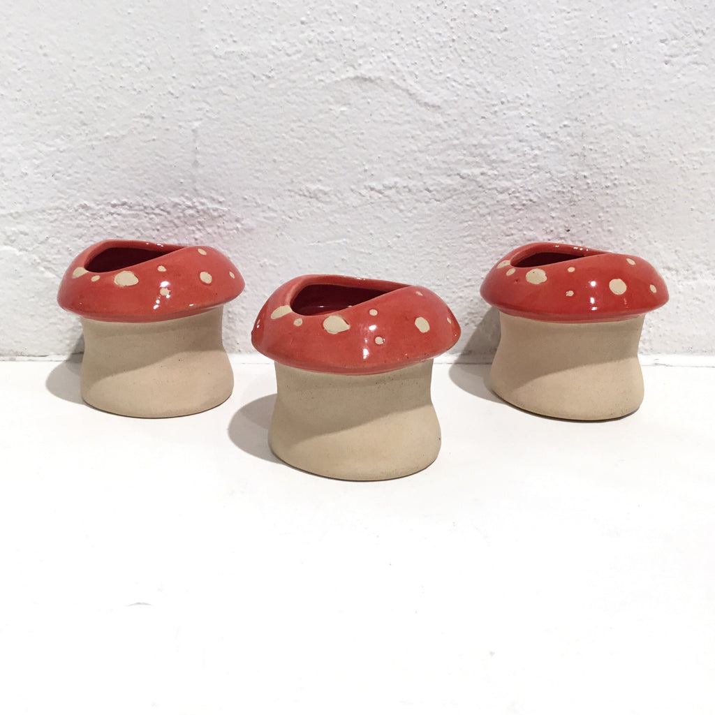 Mushroom Planter