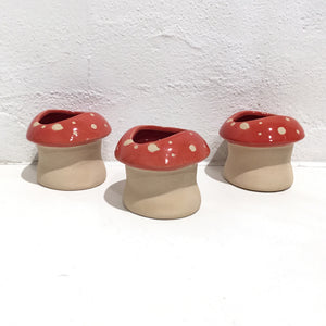 Mushroom Planter