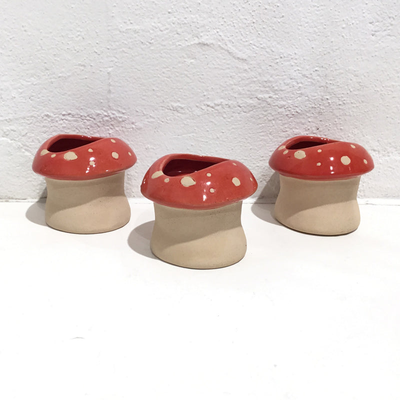 Mushroom Planter