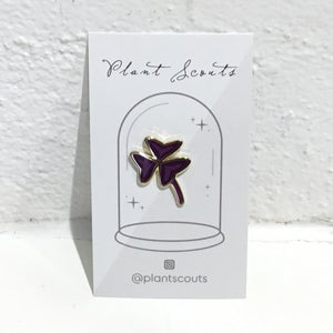 Plant Scouts Pin - Oxalis triangularis
