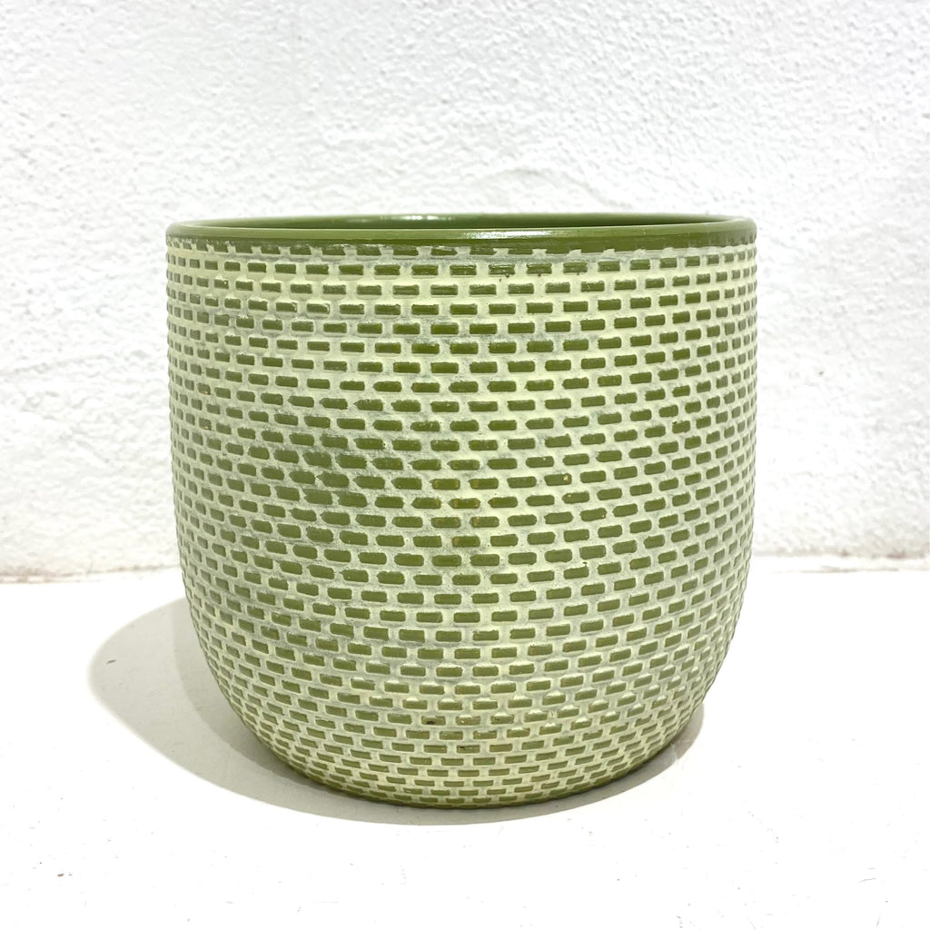 Daisy Planter Pot - fern