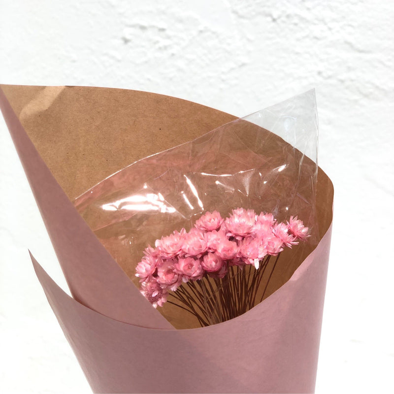 Preserved Pink Star Flowers