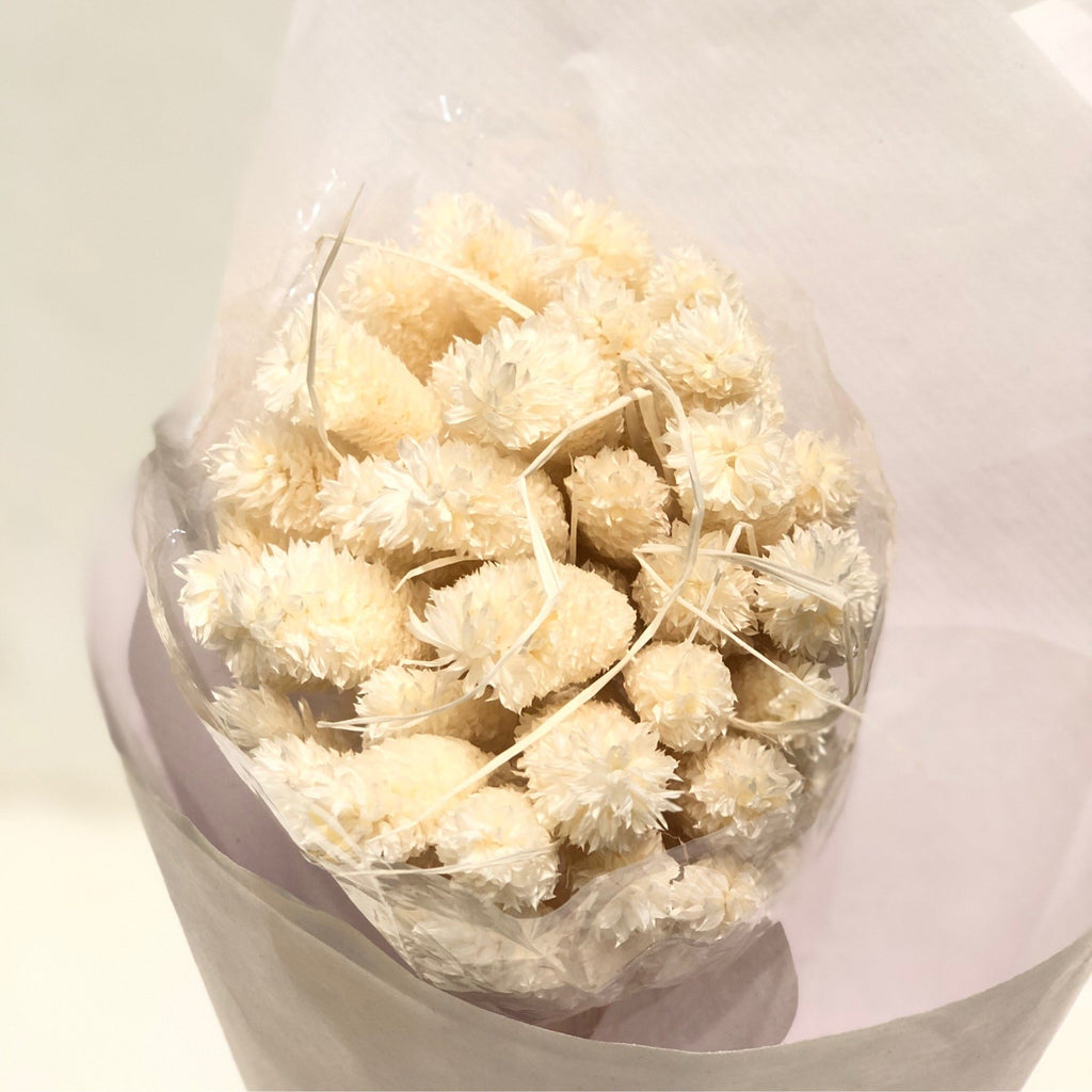 Preserved Jewellery Grass
