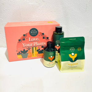 We The Wild - Love Gift Box