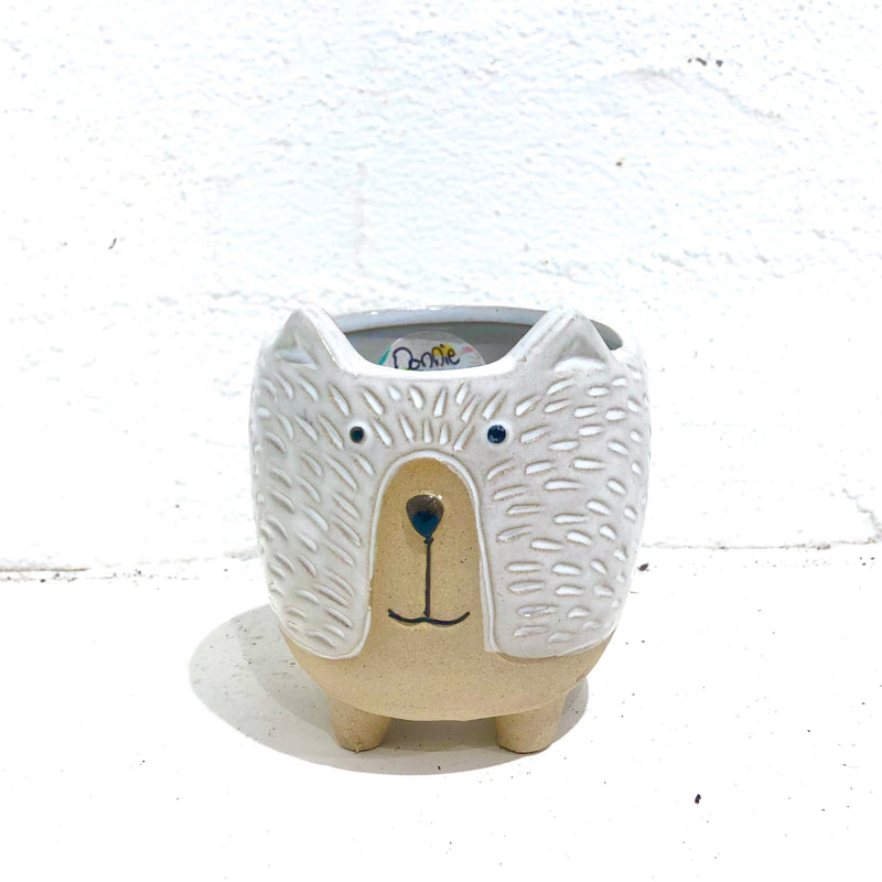 Donnie Dog pot