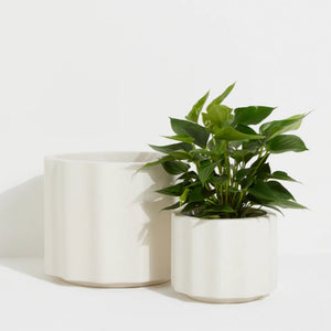 On The Side - WAVE - ALMOND CRÈME / Lightweight Pots