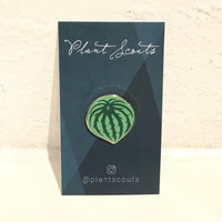 Plant Scouts Pin - Watermelon Peperomia
